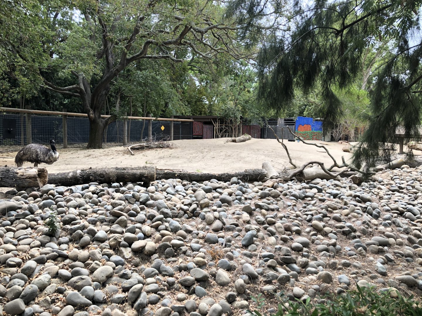 Emu/Red kangaroo exhibit