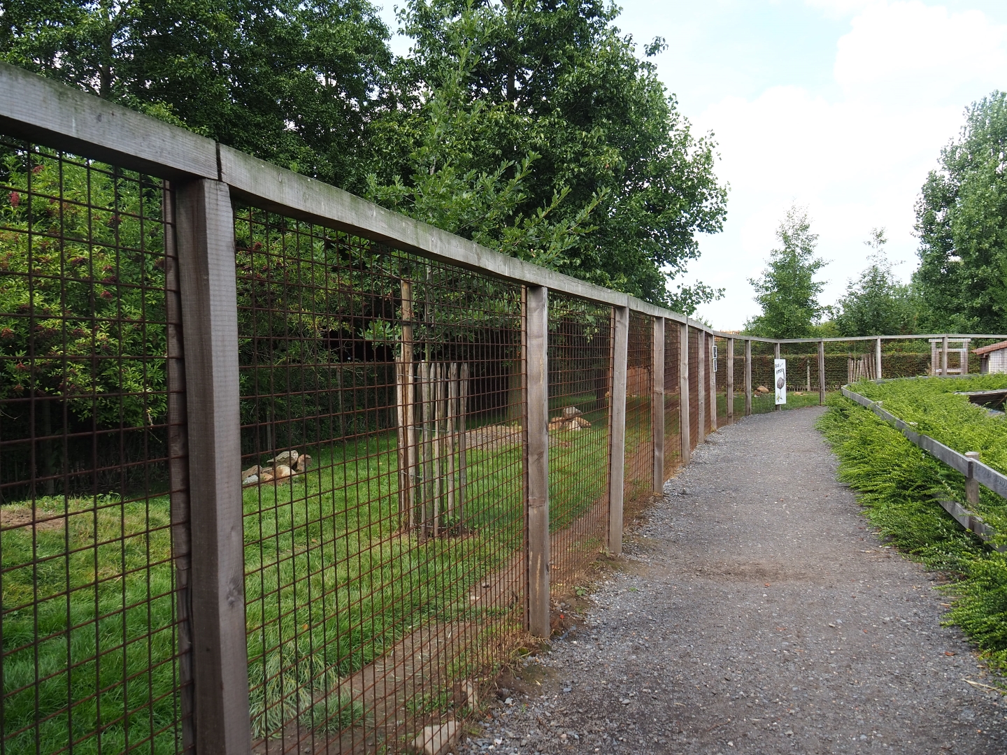 Emu - Red-necked wallaby yard