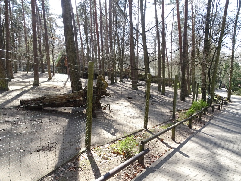 Emu, sarus crane and prairie dog enclosure