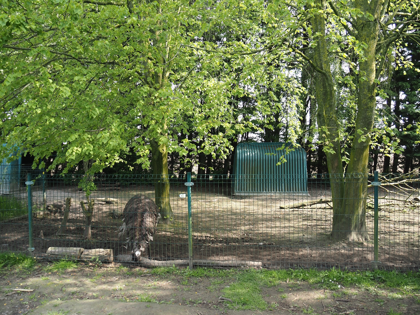 Emu separation paddock, 2024-05-11