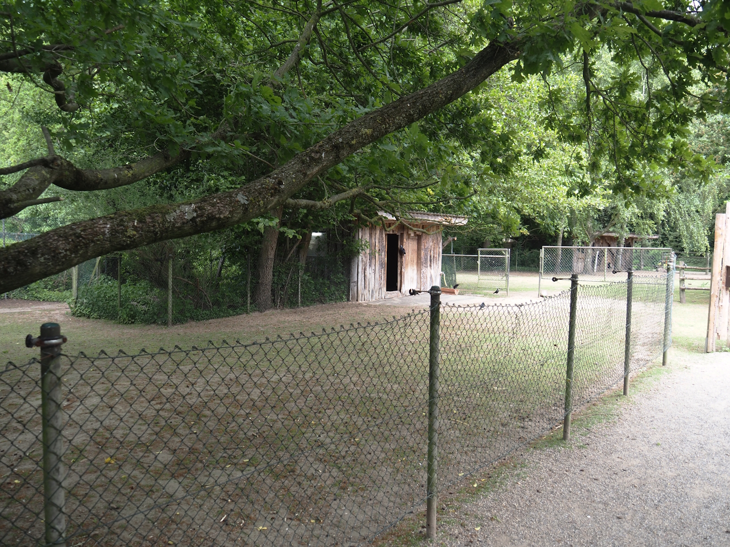 Emu separation paddock and barn, 2025-05-22