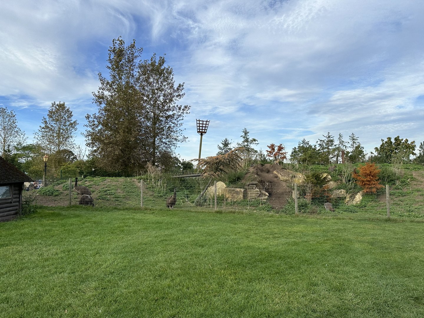 Emu / Wallaby / Mara Enclosure at Johnsons of Old Hurst (October 2023)