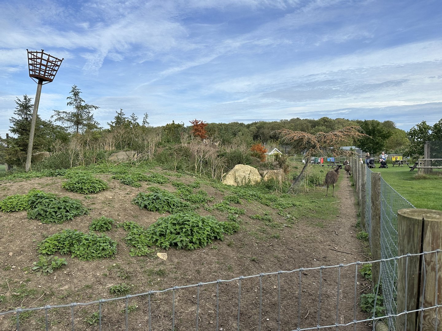 Emu / Wallaby / Mara Enclosure at Johnsons of Old Hurst (October 2023)