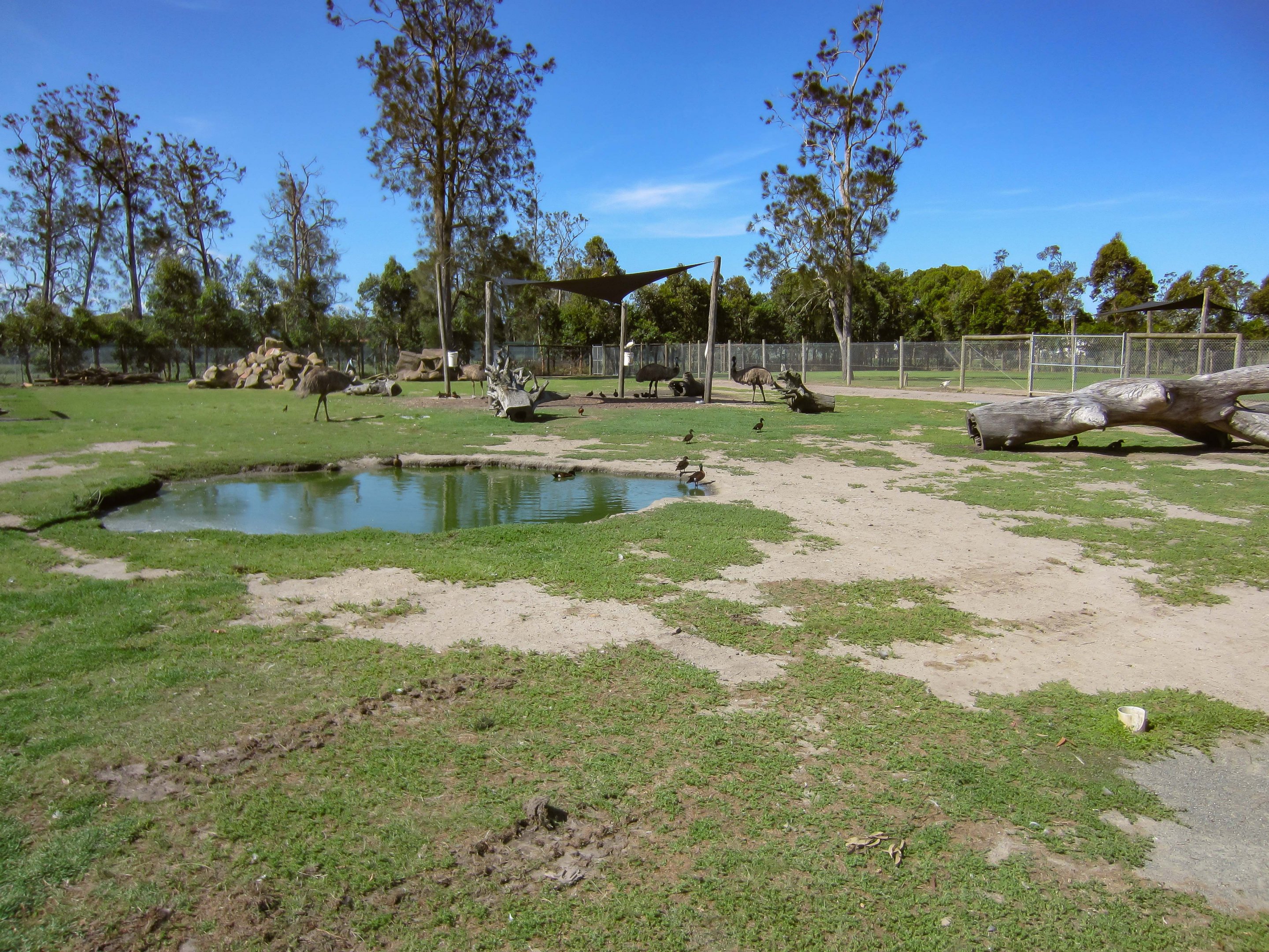 Emu yard