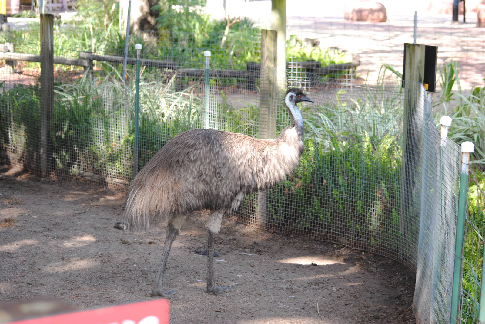 Emu