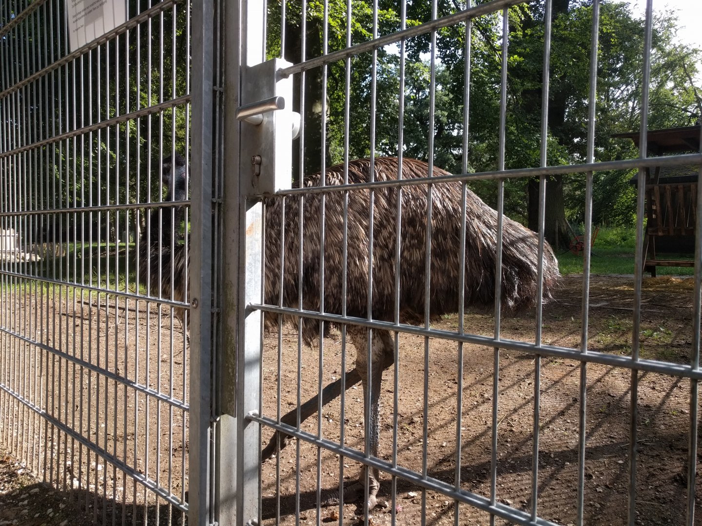 Emu