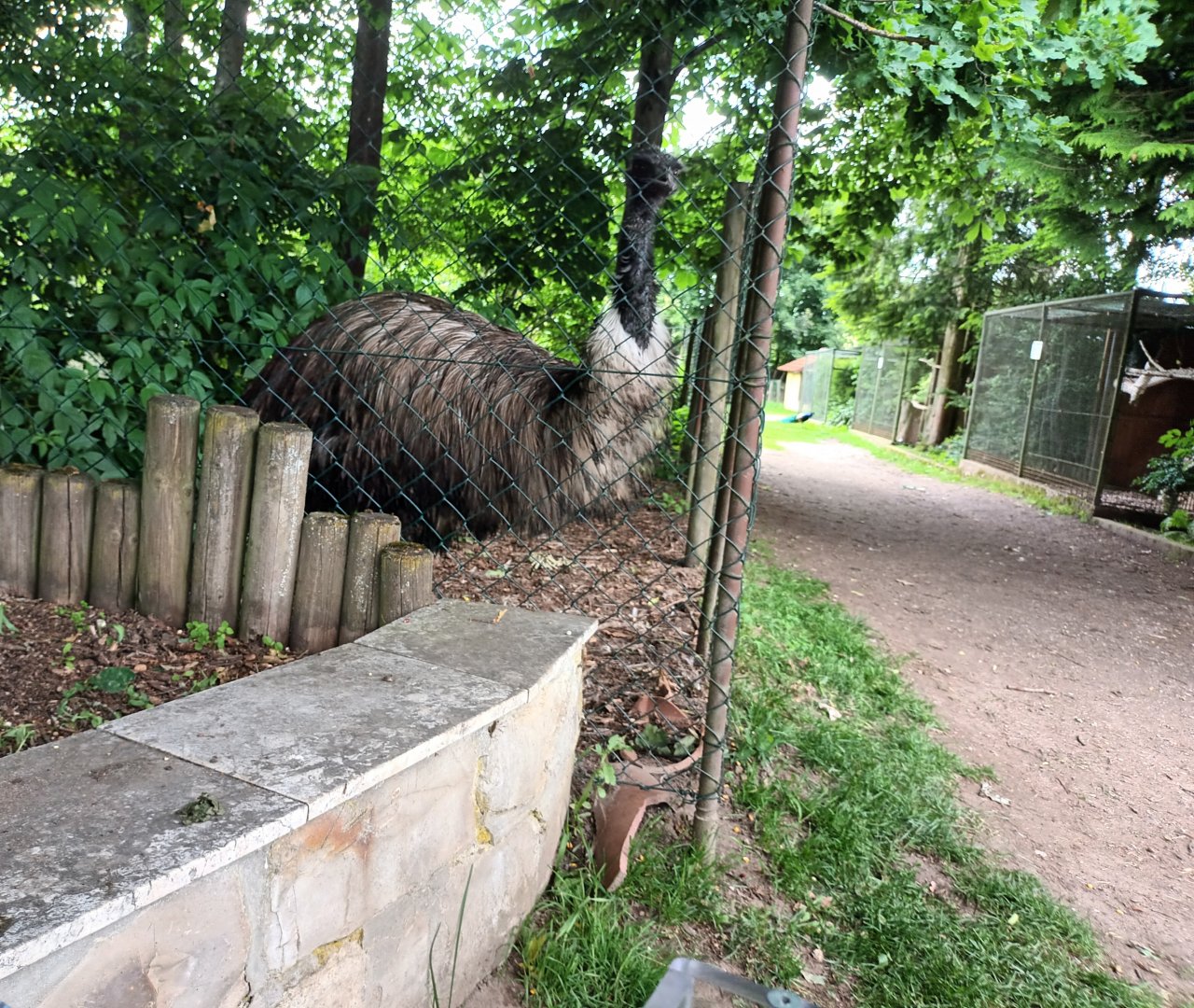 Emu