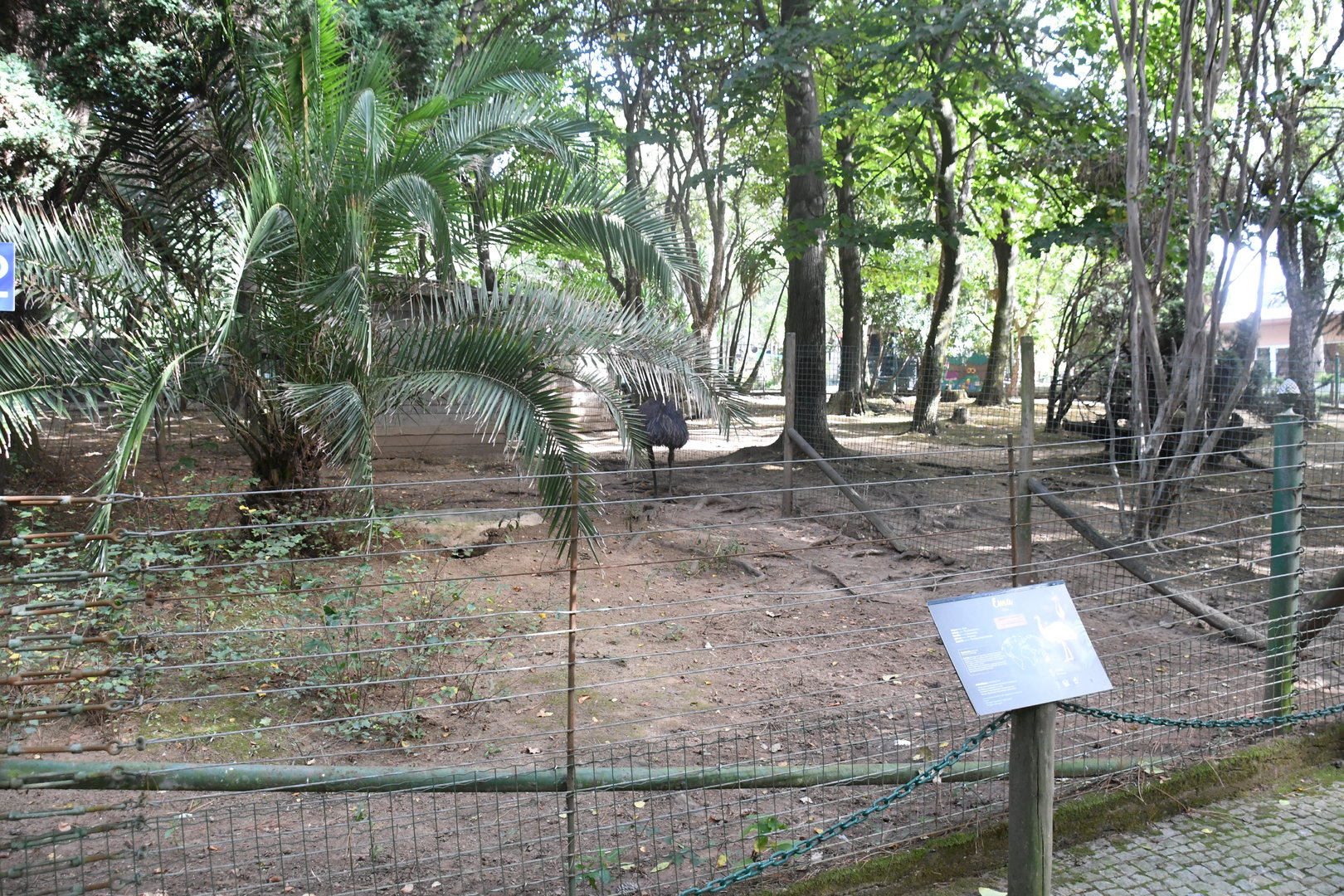 Emus paddock (Zoo Lourosa)