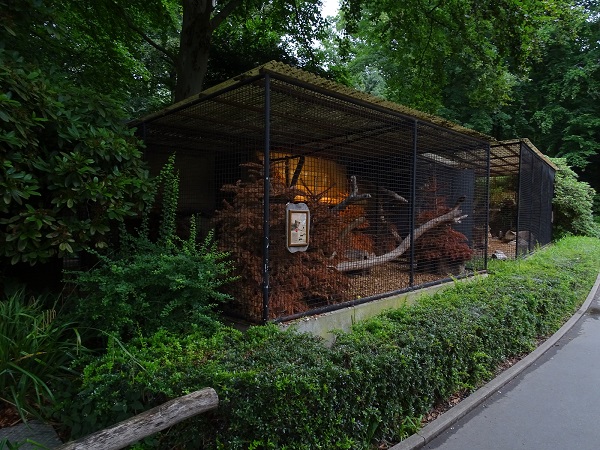 Enclose for oncilla (07/22)