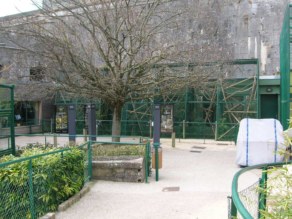 Enclose of callithricidés