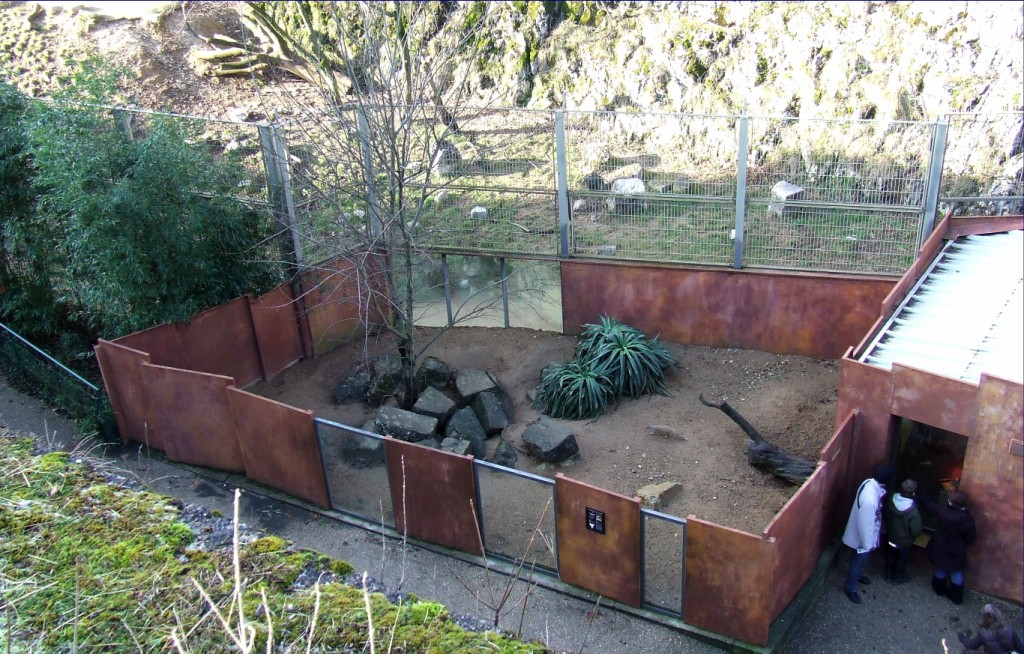 Enclose of Cynictis penicillata