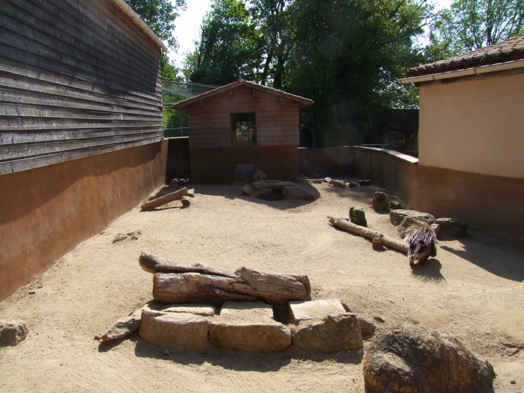 enclose of Hystrix cristata