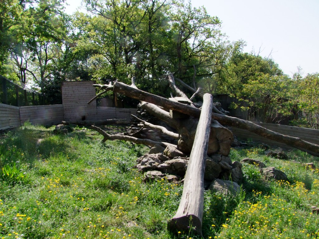 Enclose of Nasua nasua