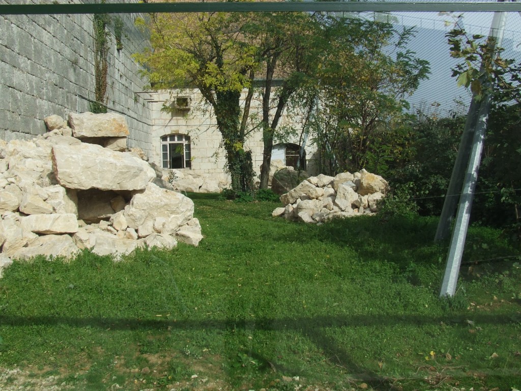 Enclose of Petrogale xanthopus xanthopus