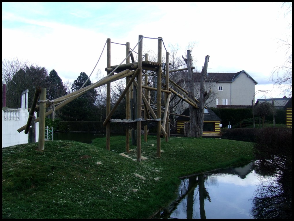 enclose of Pongo pygmaeus pygmaeus