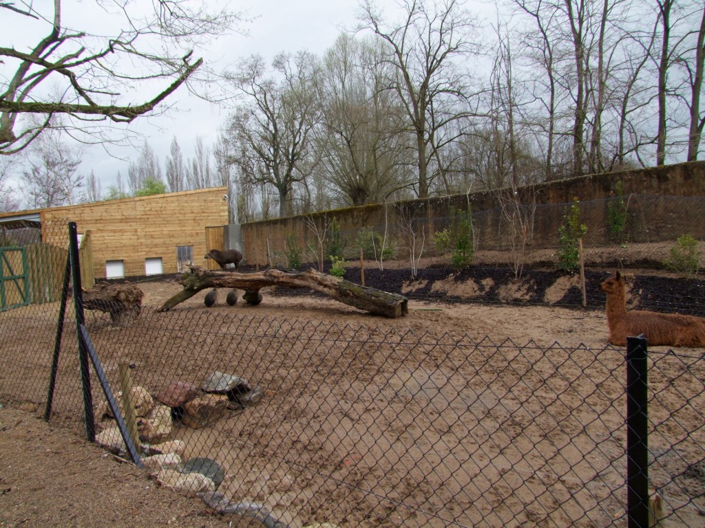 enclose of Tapirus terrestris