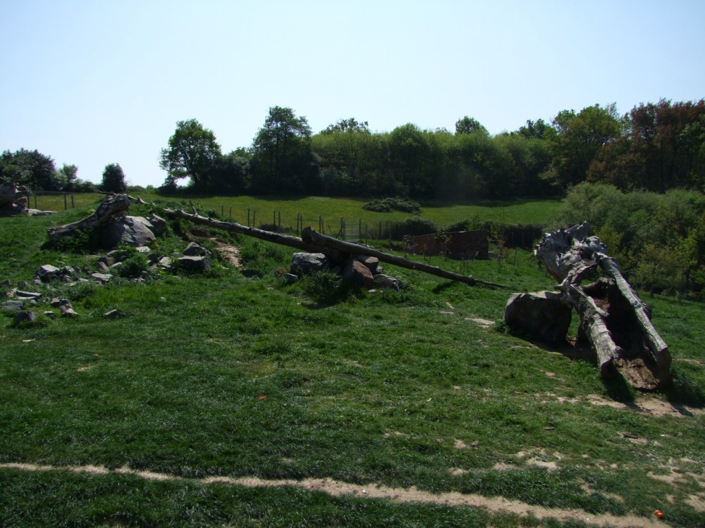 enclose of Ursus americanus