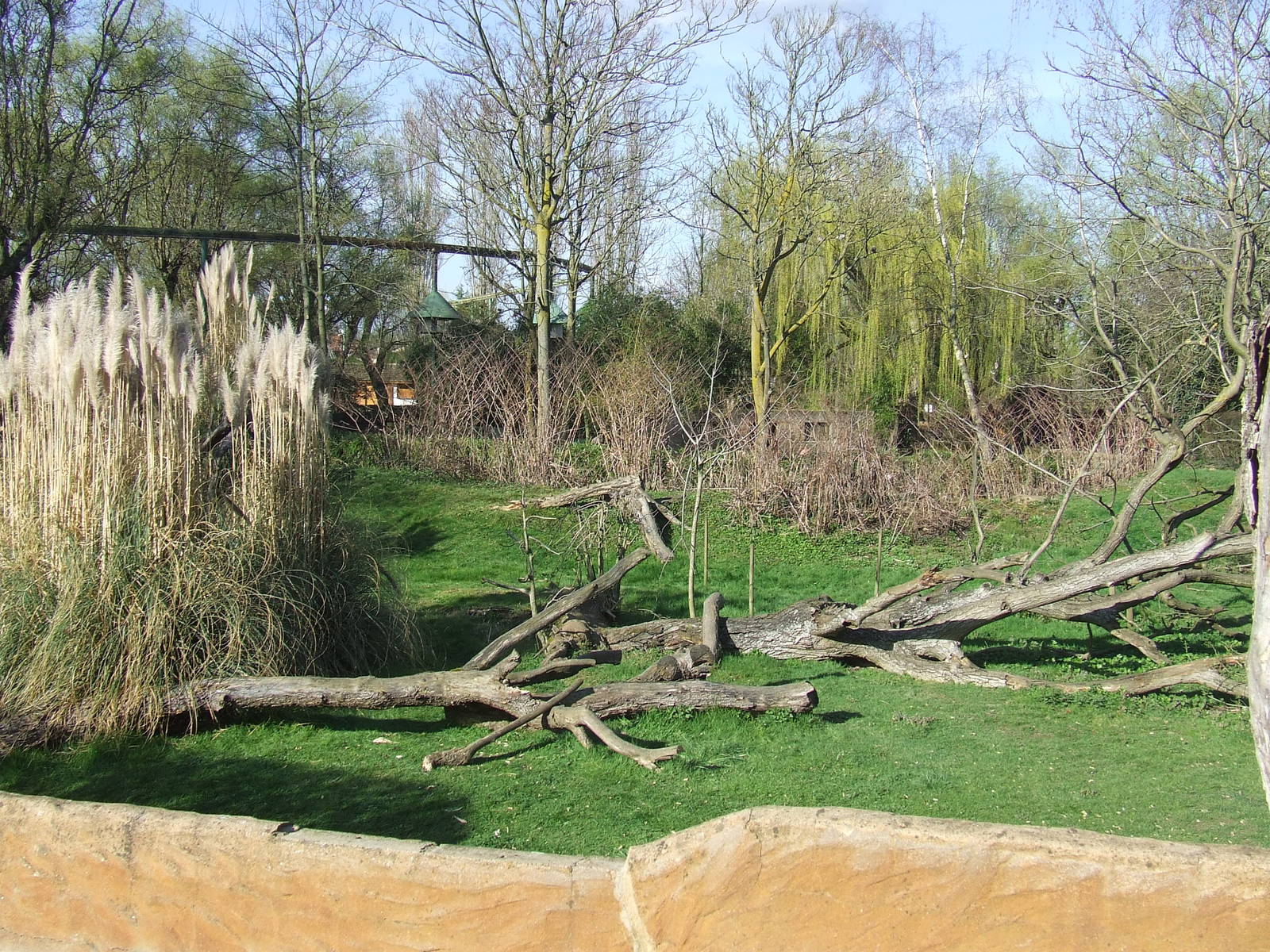 Enclose of Varecia variegata variegata