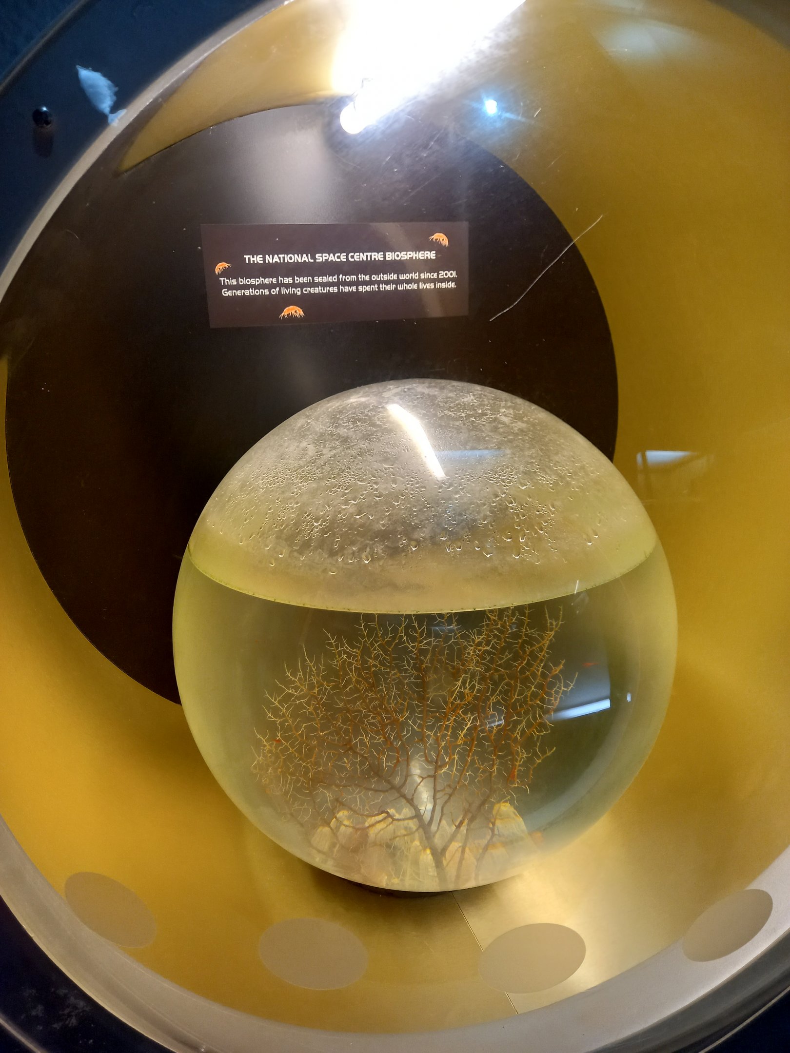 Enclosed biosphere - National Space Centre, Leicester