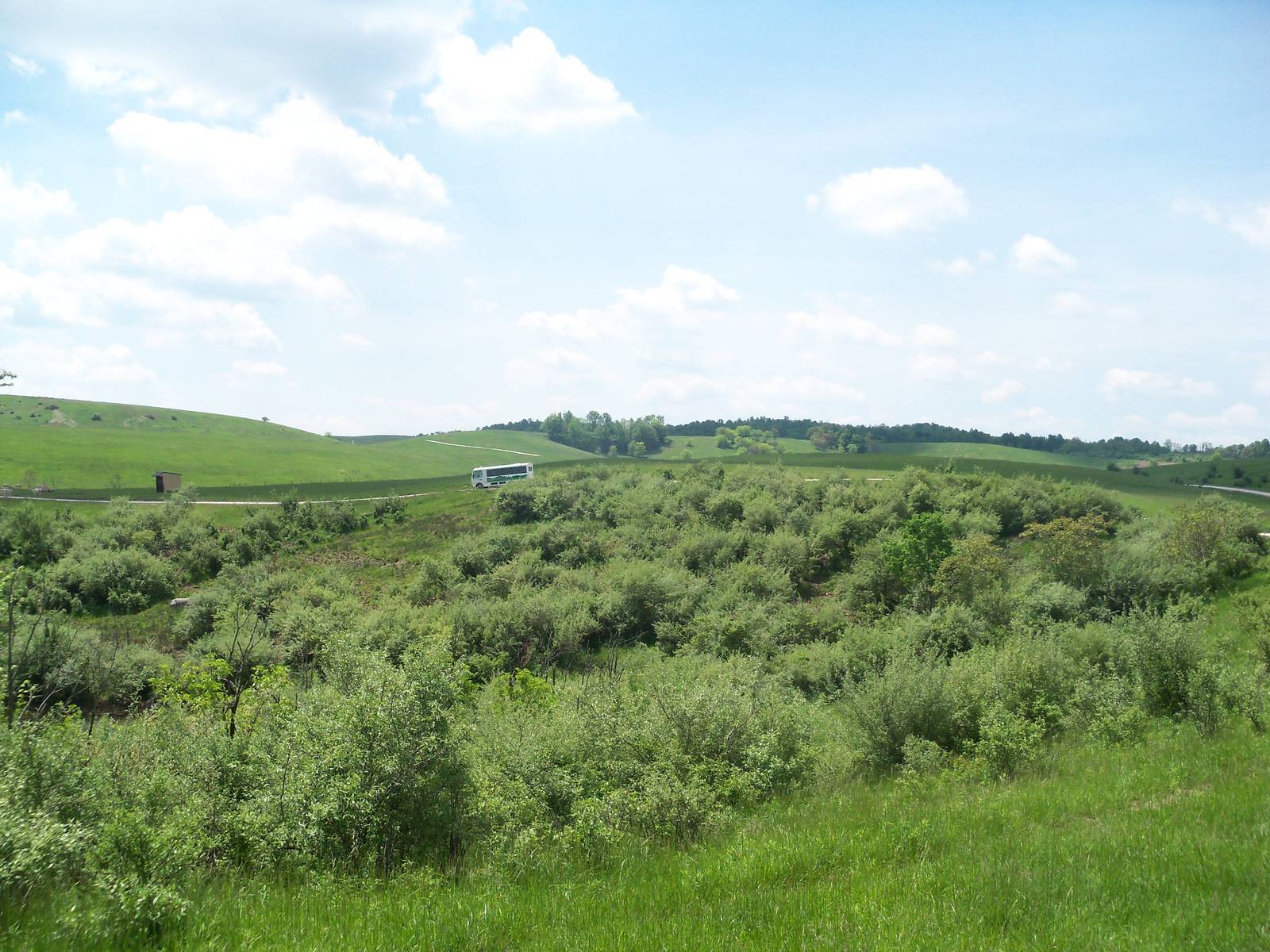 Enclosed Safari Tour