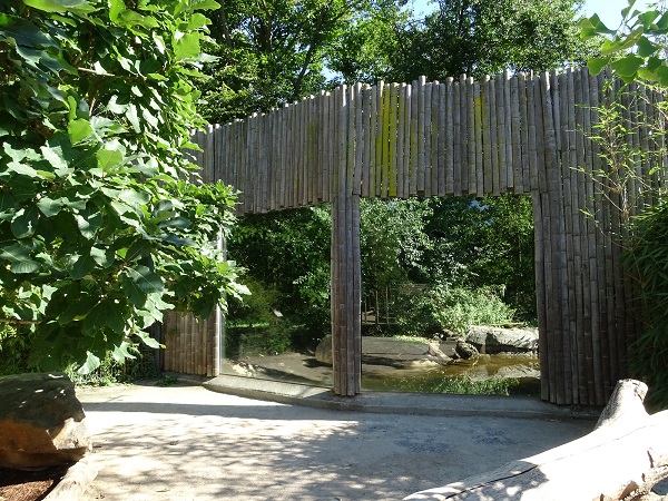 Enclosre for Sumatran tiger (07/22)