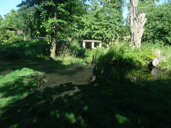 Enclosre for Sumatran tiger (07/22)