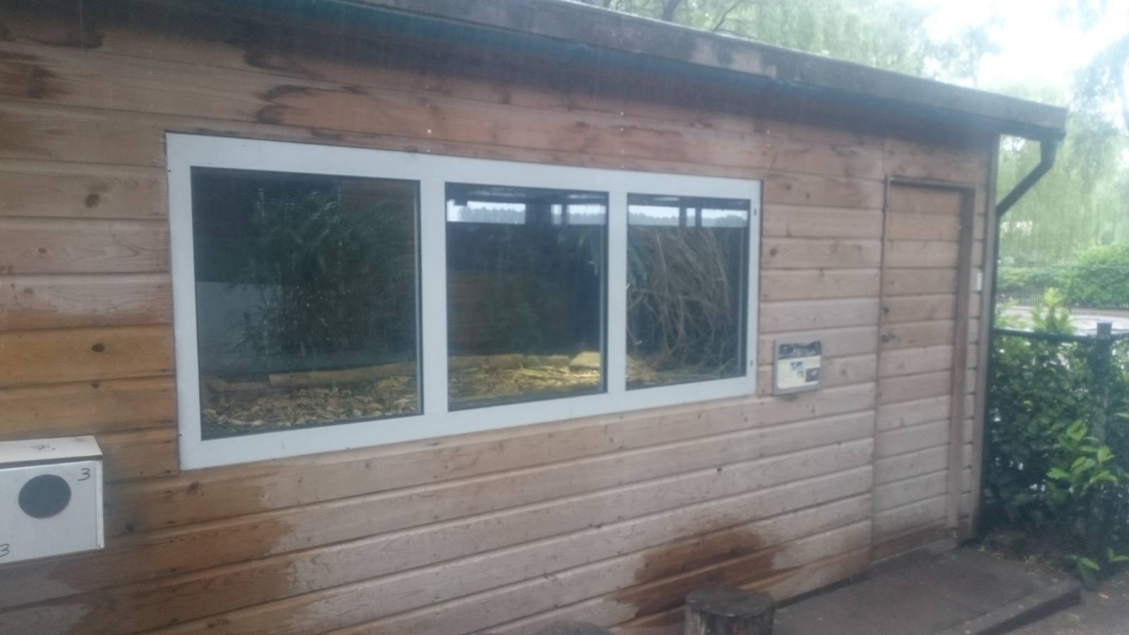 Enclosure African dwarf crocodile