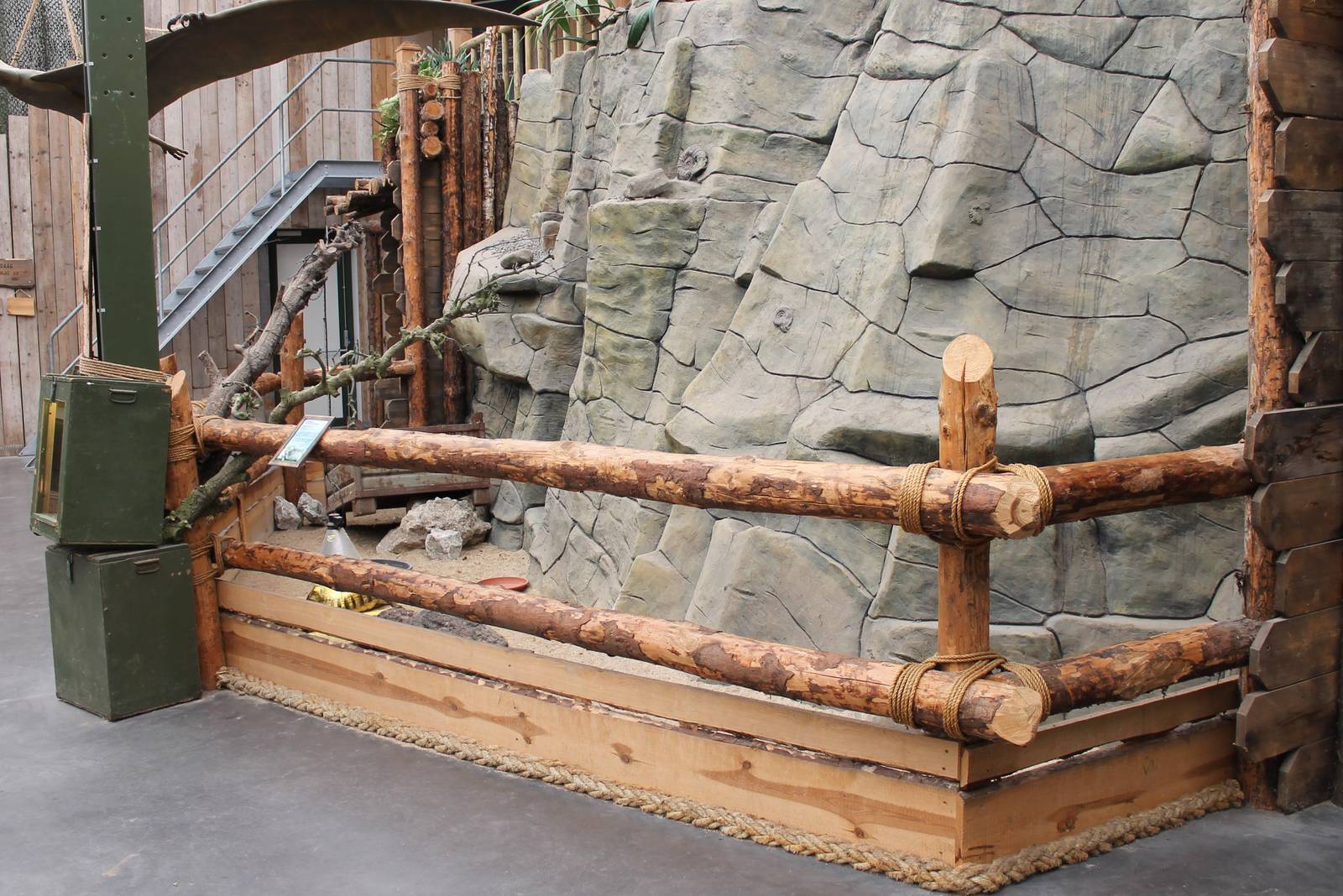 Enclosure African spurred tortoise