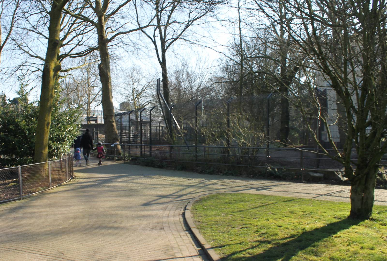 Enclosure African wild dog