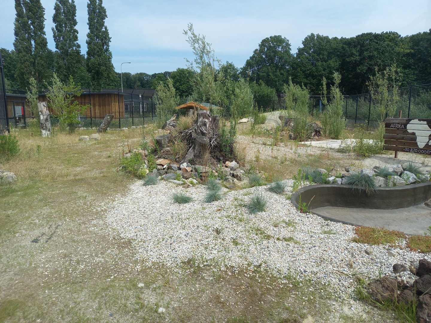 Enclosure African wild dog