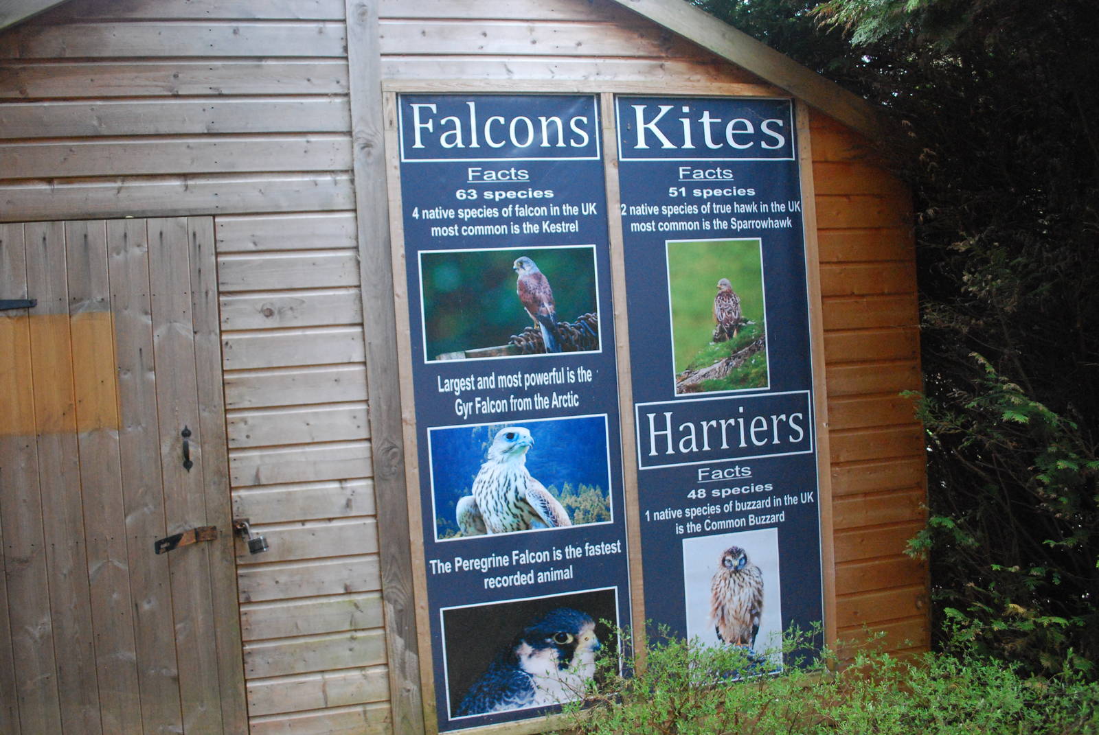 ENCLOSURE ALL ROUND BUILDINGS 15