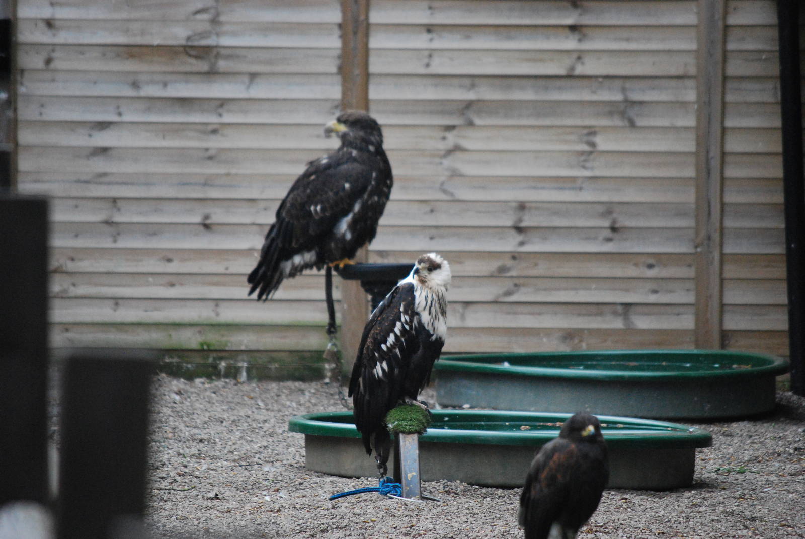 ENCLOSURE ALL ROUND BUILDINGS 23