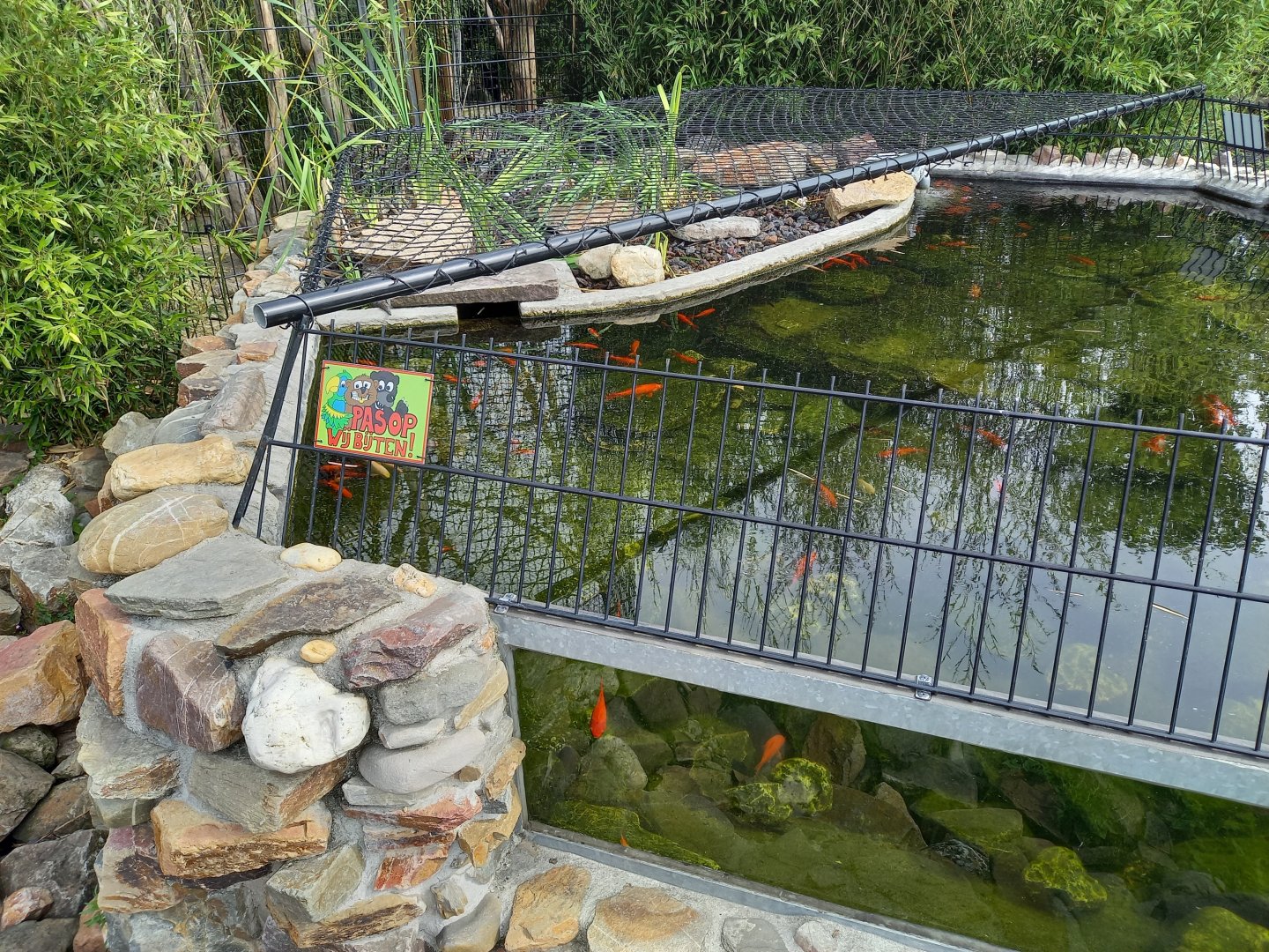 Enclosure Alligator snapping turtle