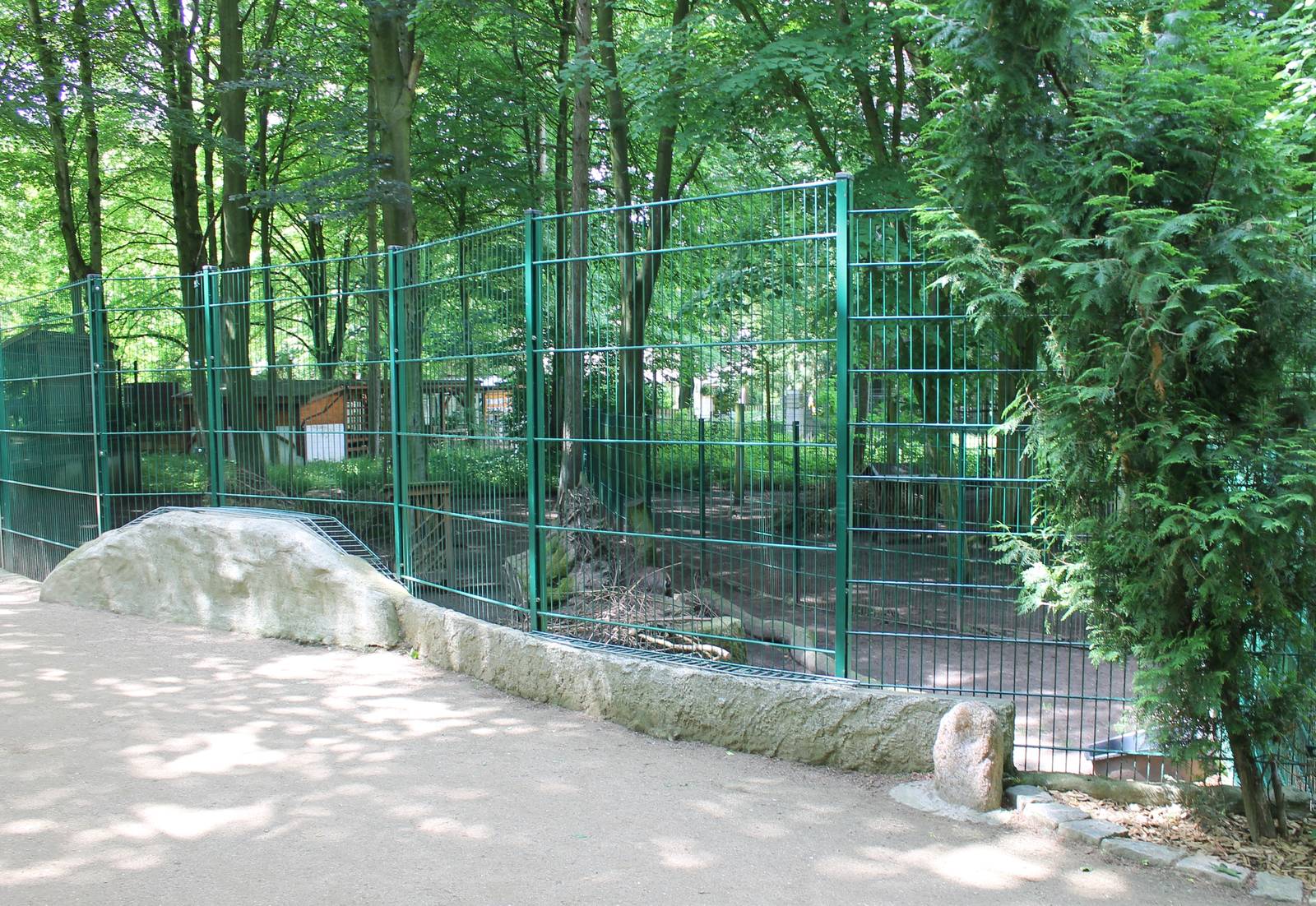 Enclosure Alpine chamois