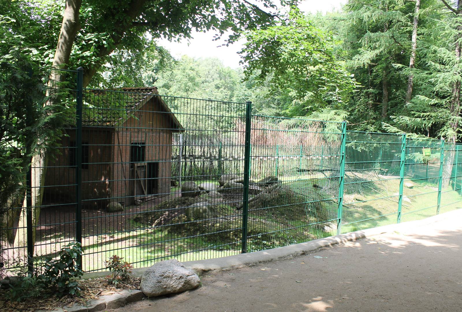 Enclosure Alpine chamois