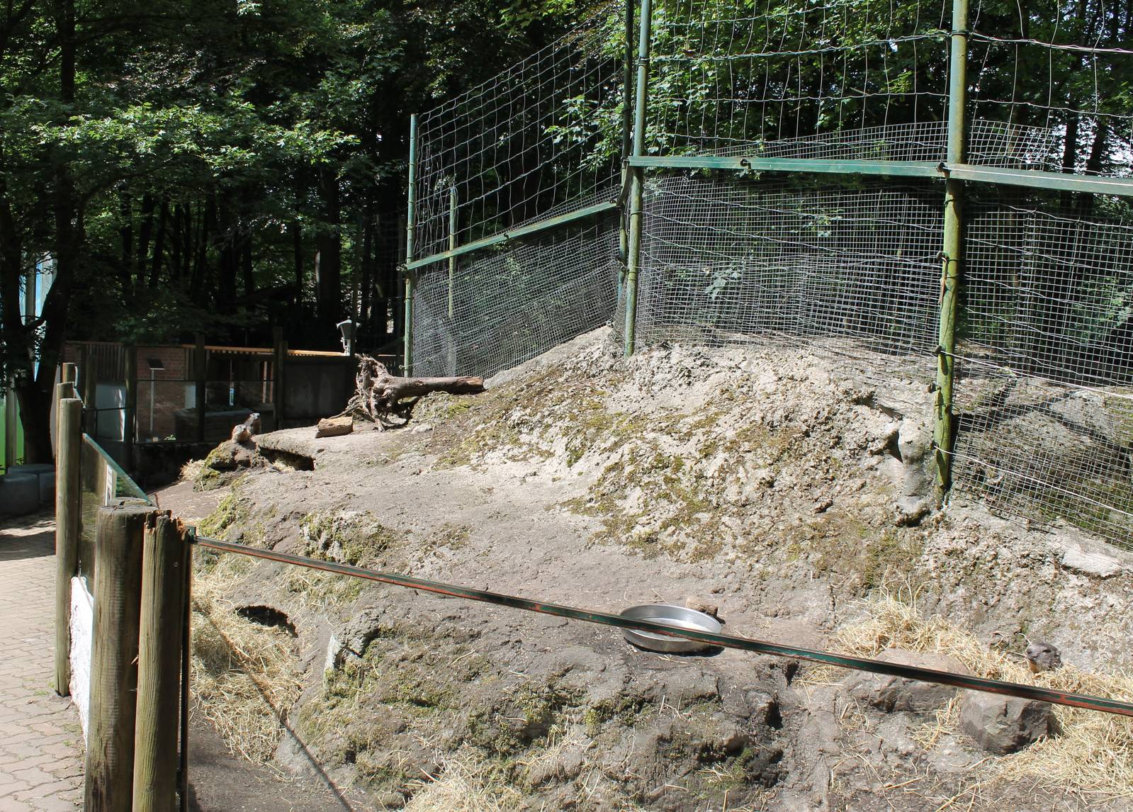Enclosure Alpine marmot