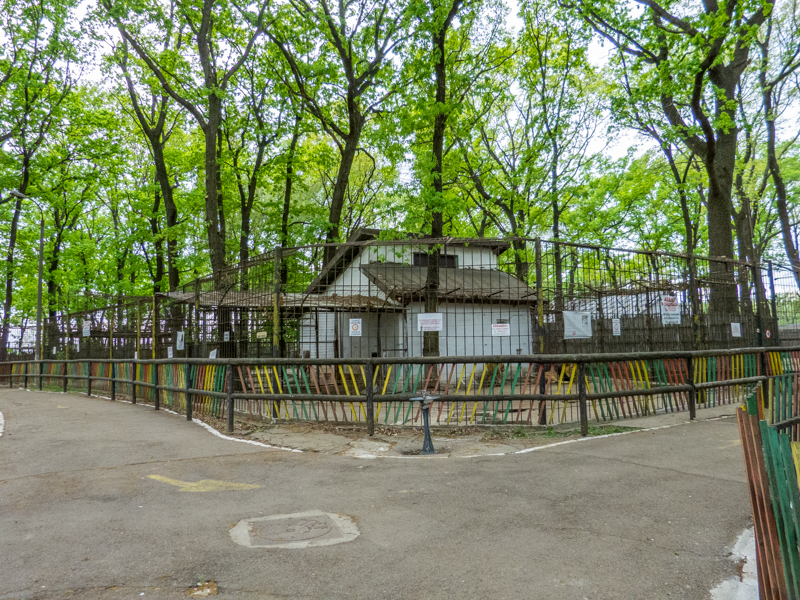 Enclosure and house of lion