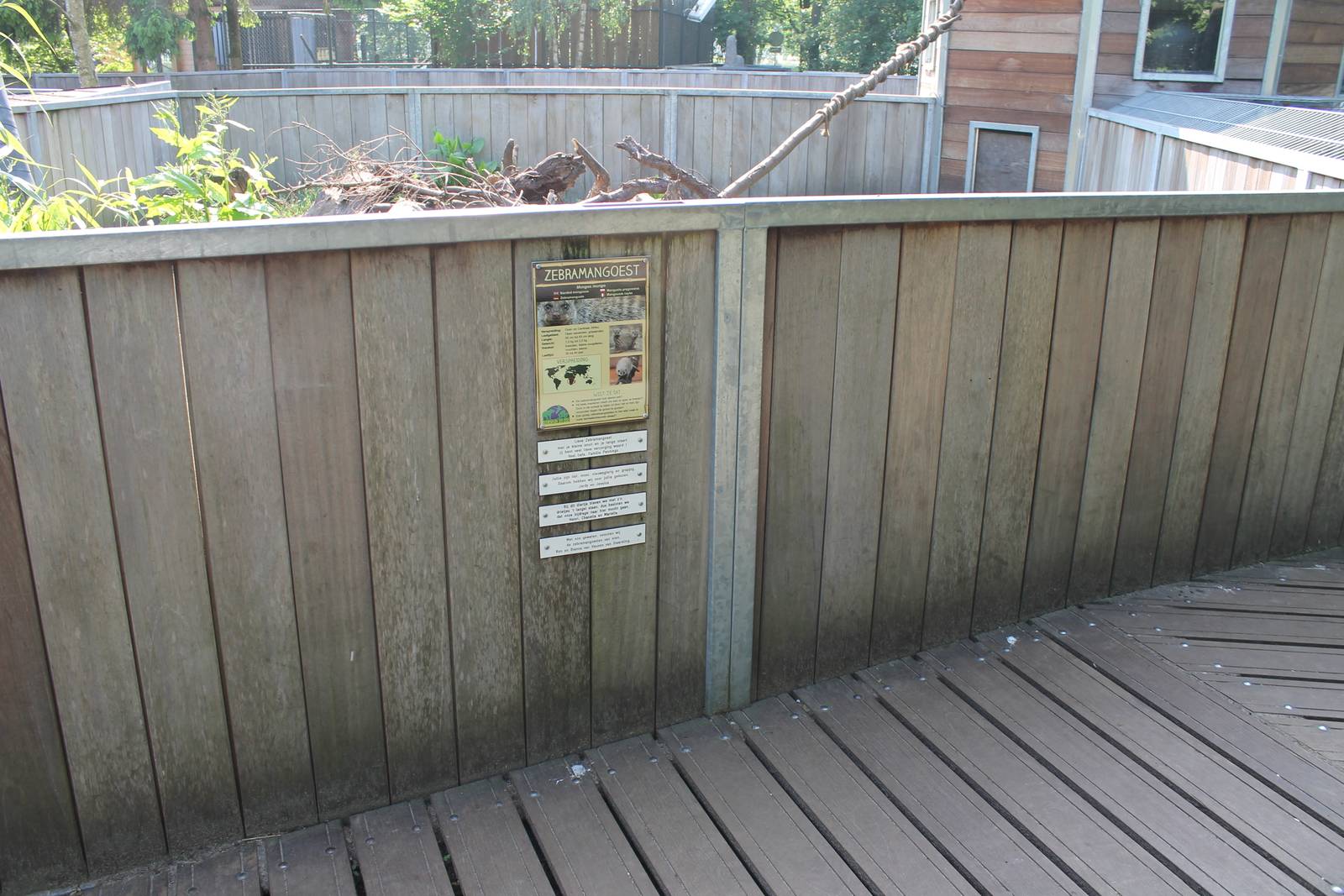 Enclosure and sign Zebra mongoose