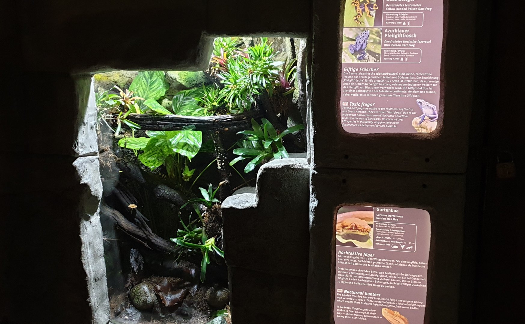 Enclosure and signs Dart frogs and Garden boa