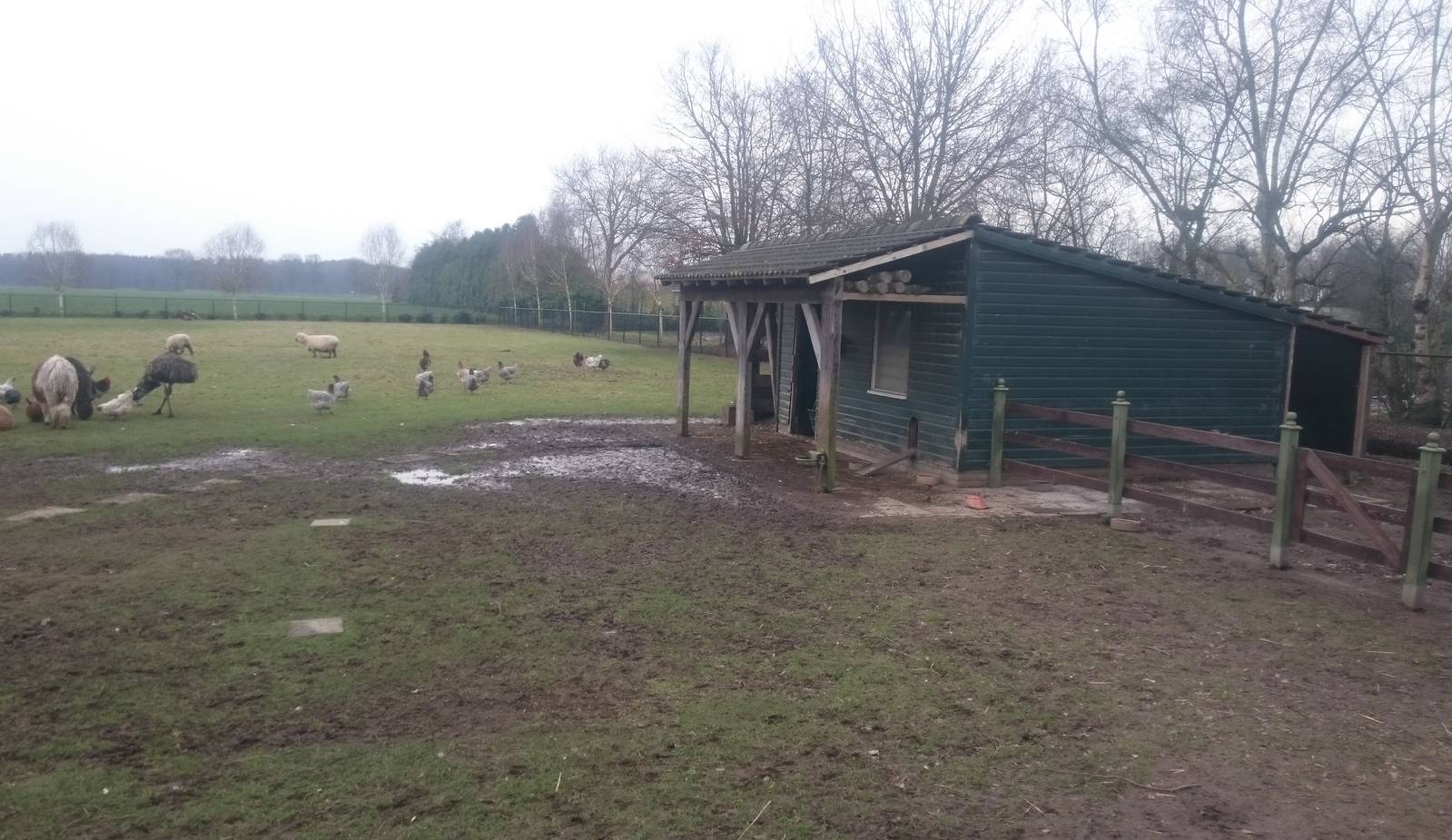 Enclosure and stable