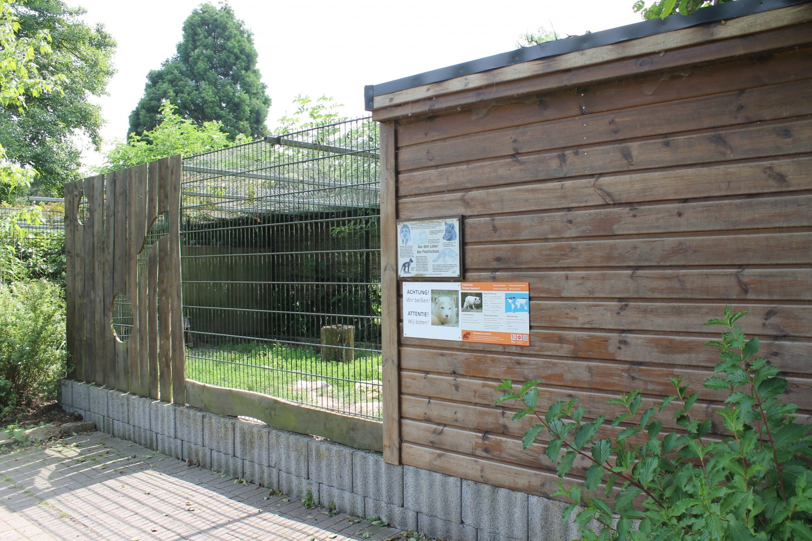 Enclosure Arctic fox