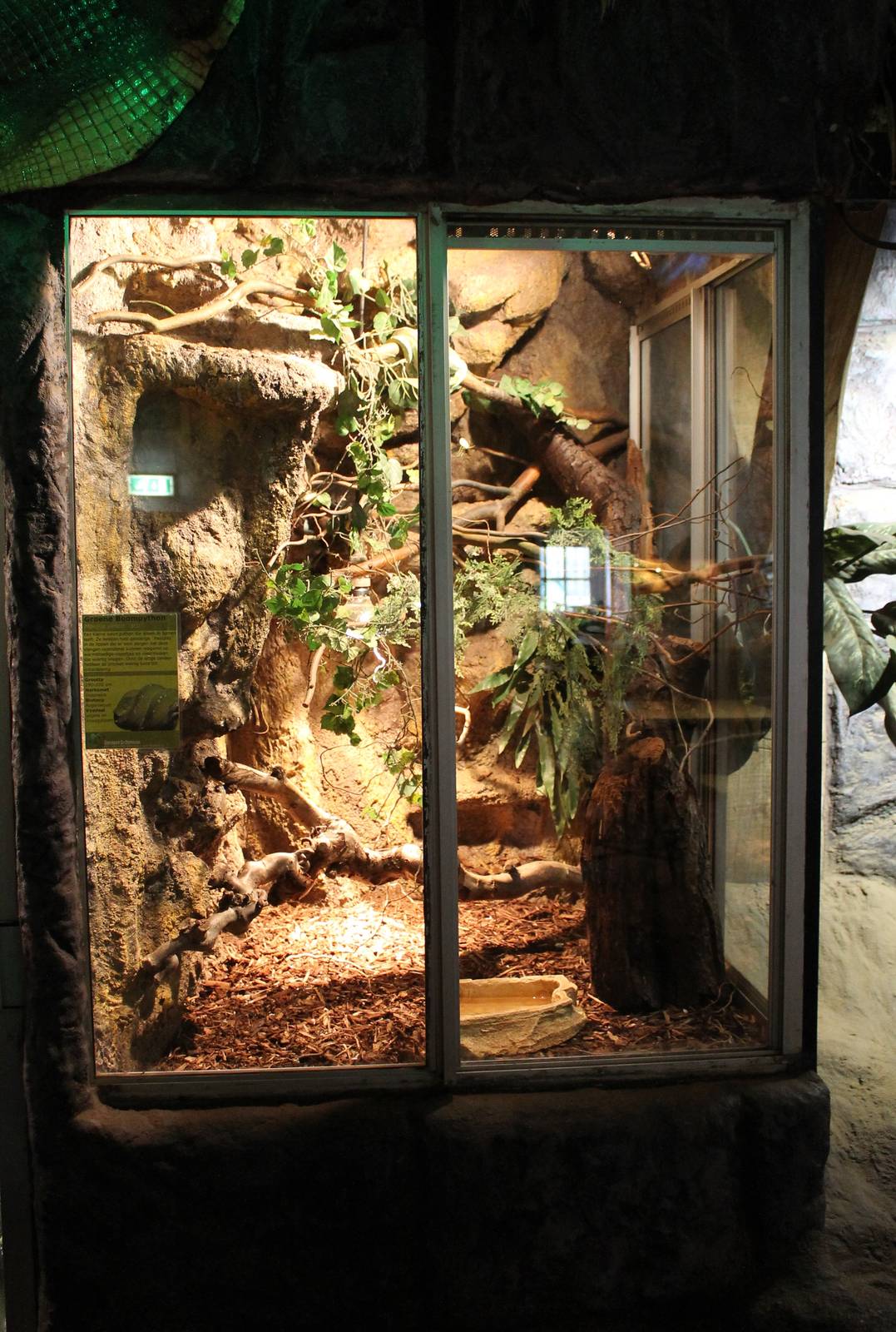 Enclosure Aru tree python