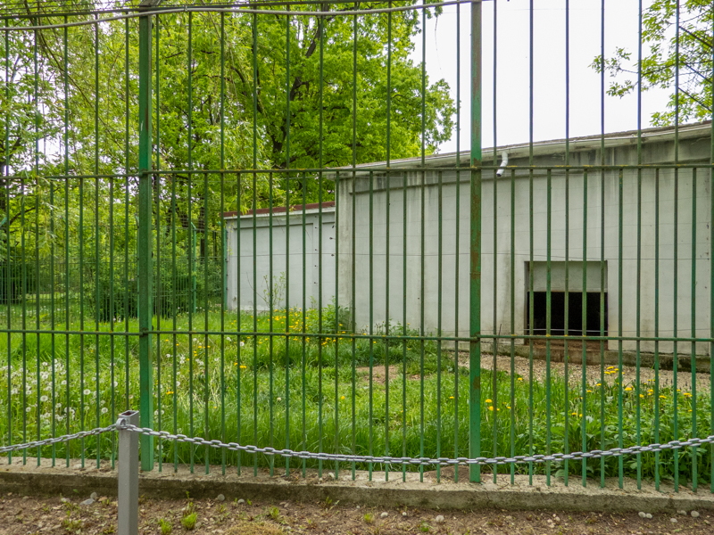 enclosure asian bear