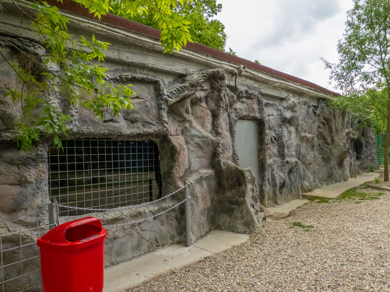 enclosure asian bear