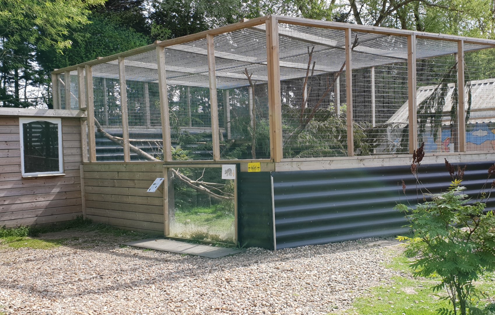 Enclosure Asian palm civet