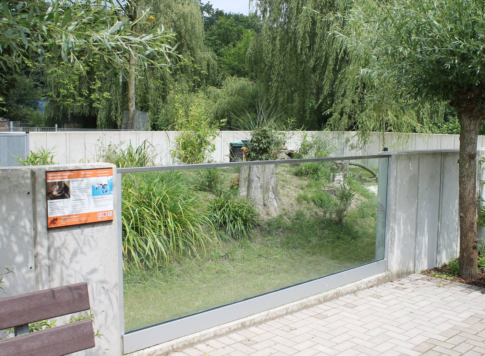 Enclosure Asian small-clawed otter