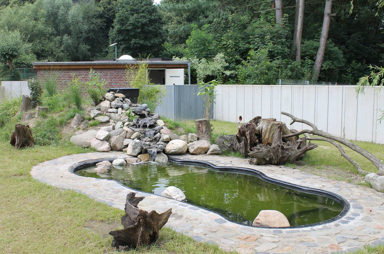 Enclosure Asian small-clawed otter