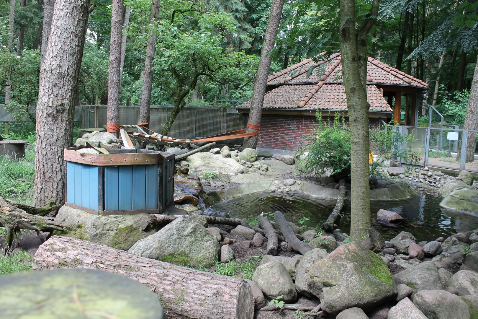 Enclosure Asian small-clawed otter