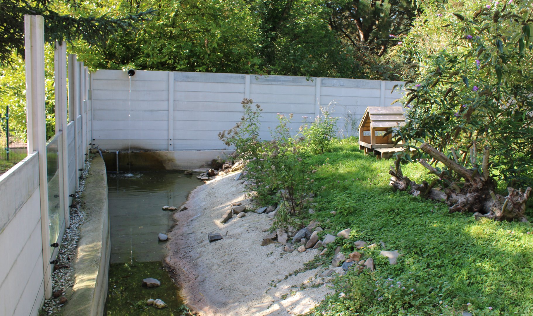 Enclosure Asian small-clawed otter
