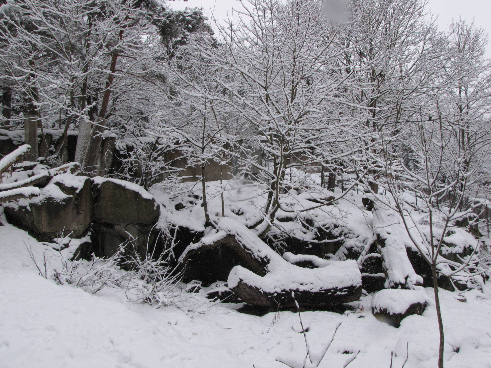 Enclosure at Skansen